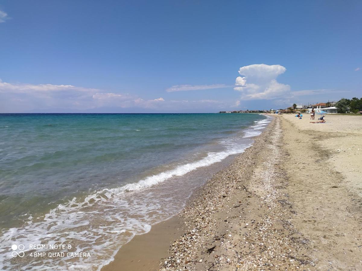 Hause Zorbas Aparthotel Paralia Dionysiou Luaran gambar
