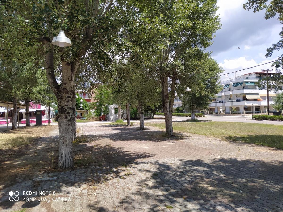 Hause Zorbas Aparthotel Paralia Dionysiou Luaran gambar