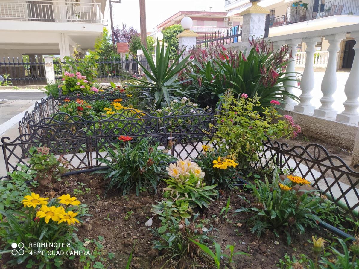 Hause Zorbas Aparthotel Paralia Dionysiou Luaran gambar